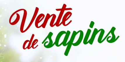 sapin de noël