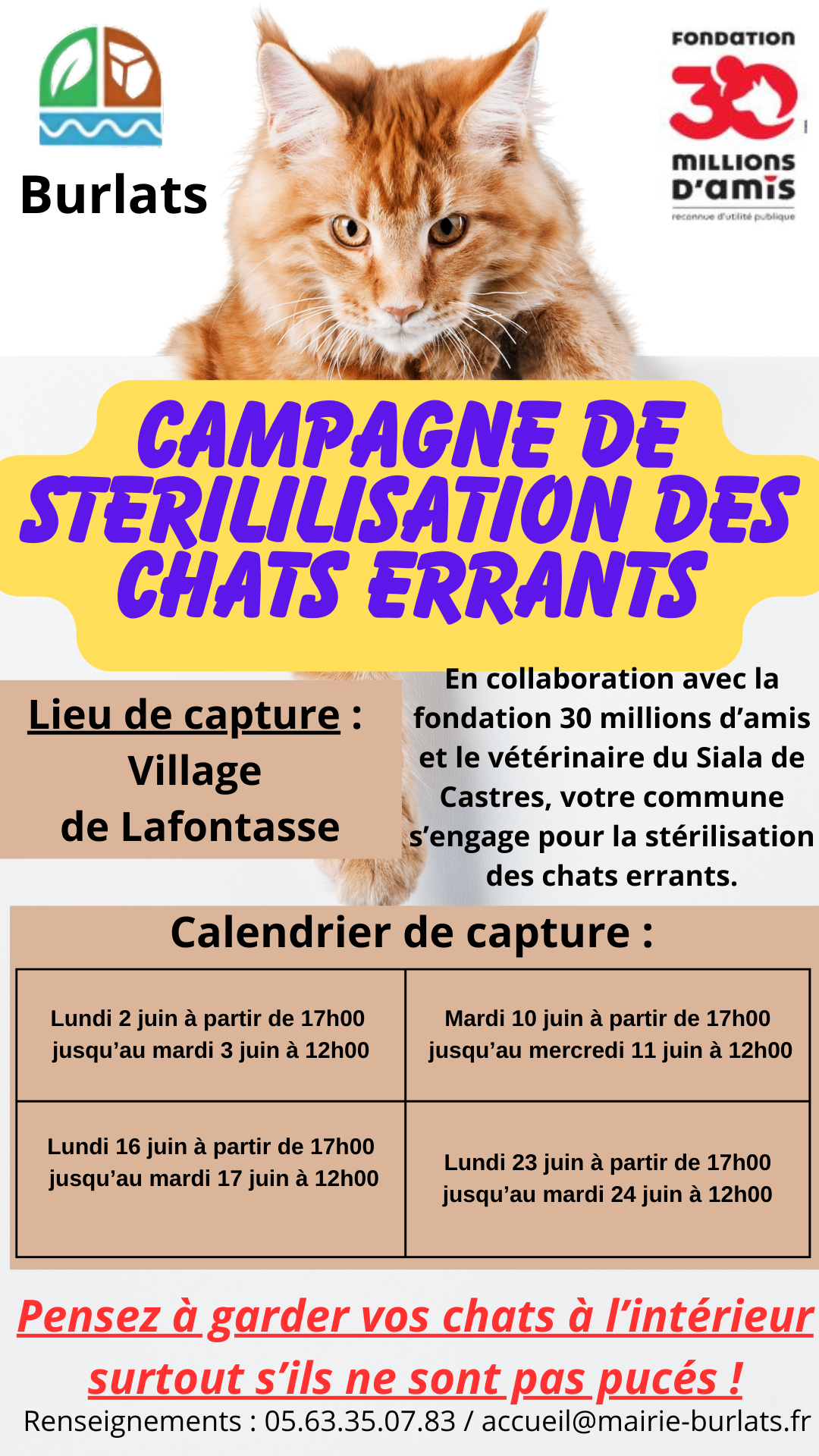 affiche campagne chats errants 2025 lafontasse