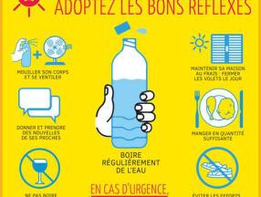 canicule