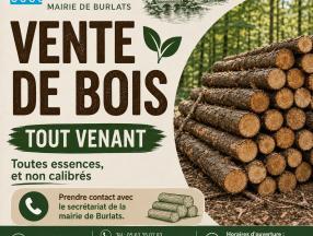 vente de bois