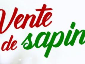 sapin de noël