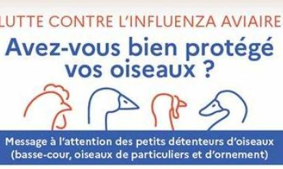 influenza aviaire