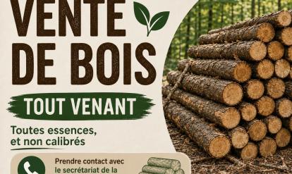 vente de bois