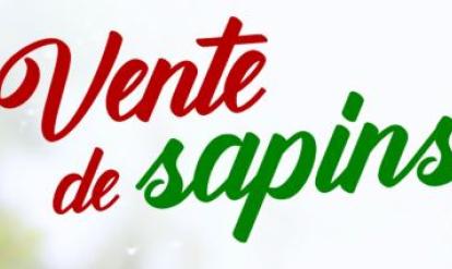 sapin de noël